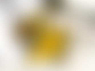 AA Raw Bumblebee Agate (Skin Edition) Indonesia - Untie the Knots for a New Destiny!