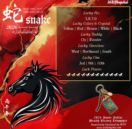 06 2026 SNAKE LUCK POWER copy.jpg