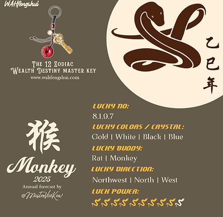 01 2025 MONKEY LUCK POWER copy.jpg