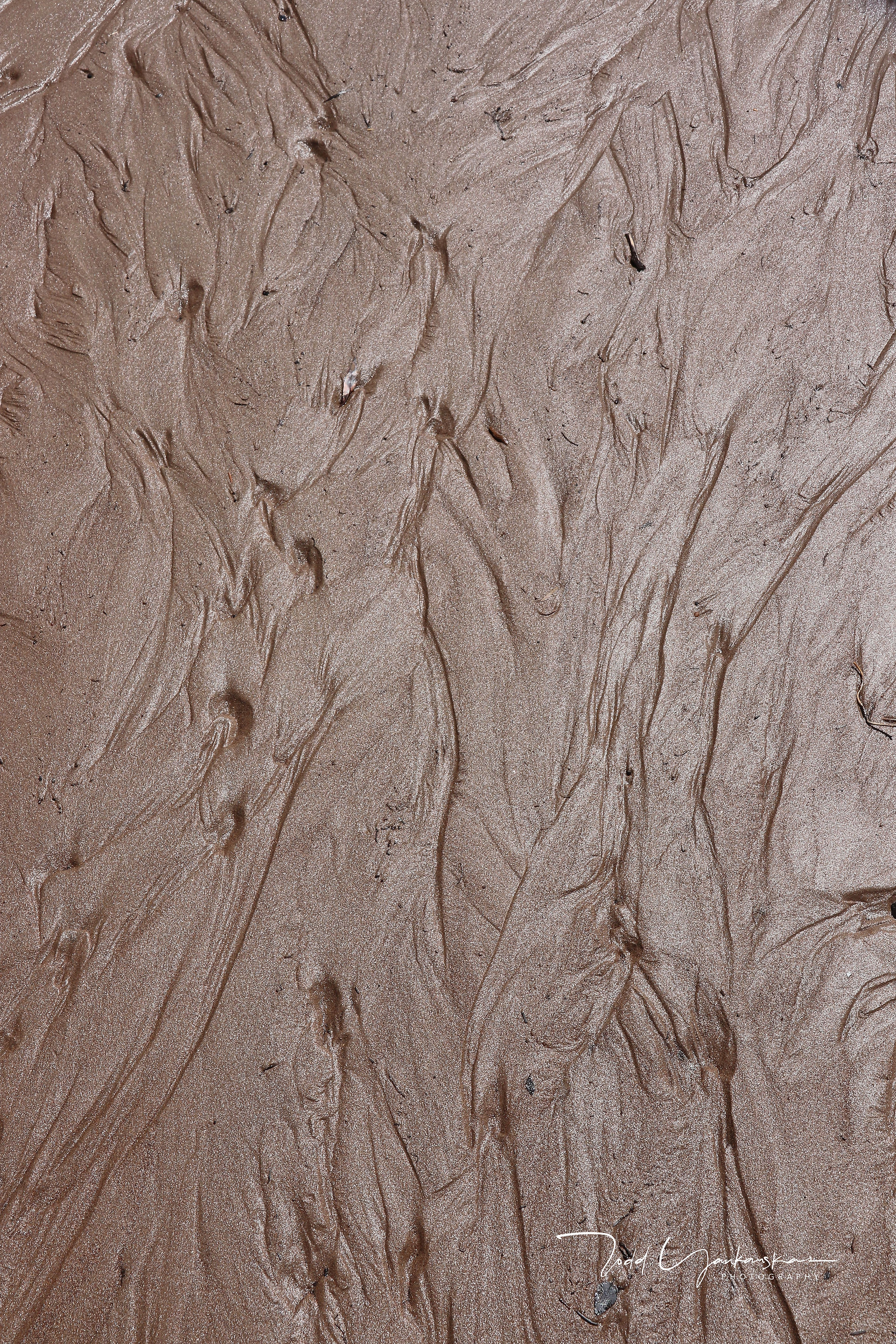 Riverbed