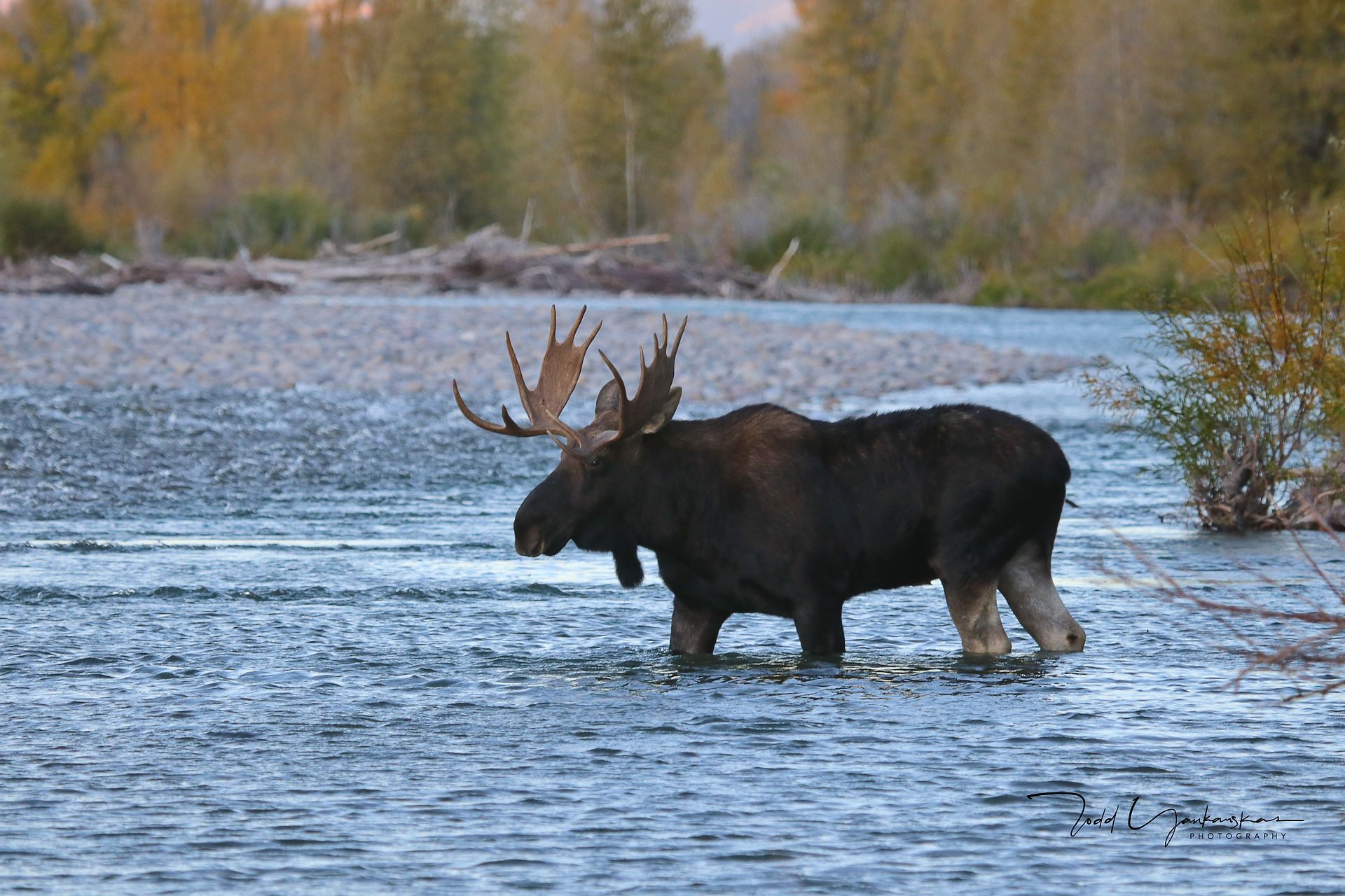 River Crossing