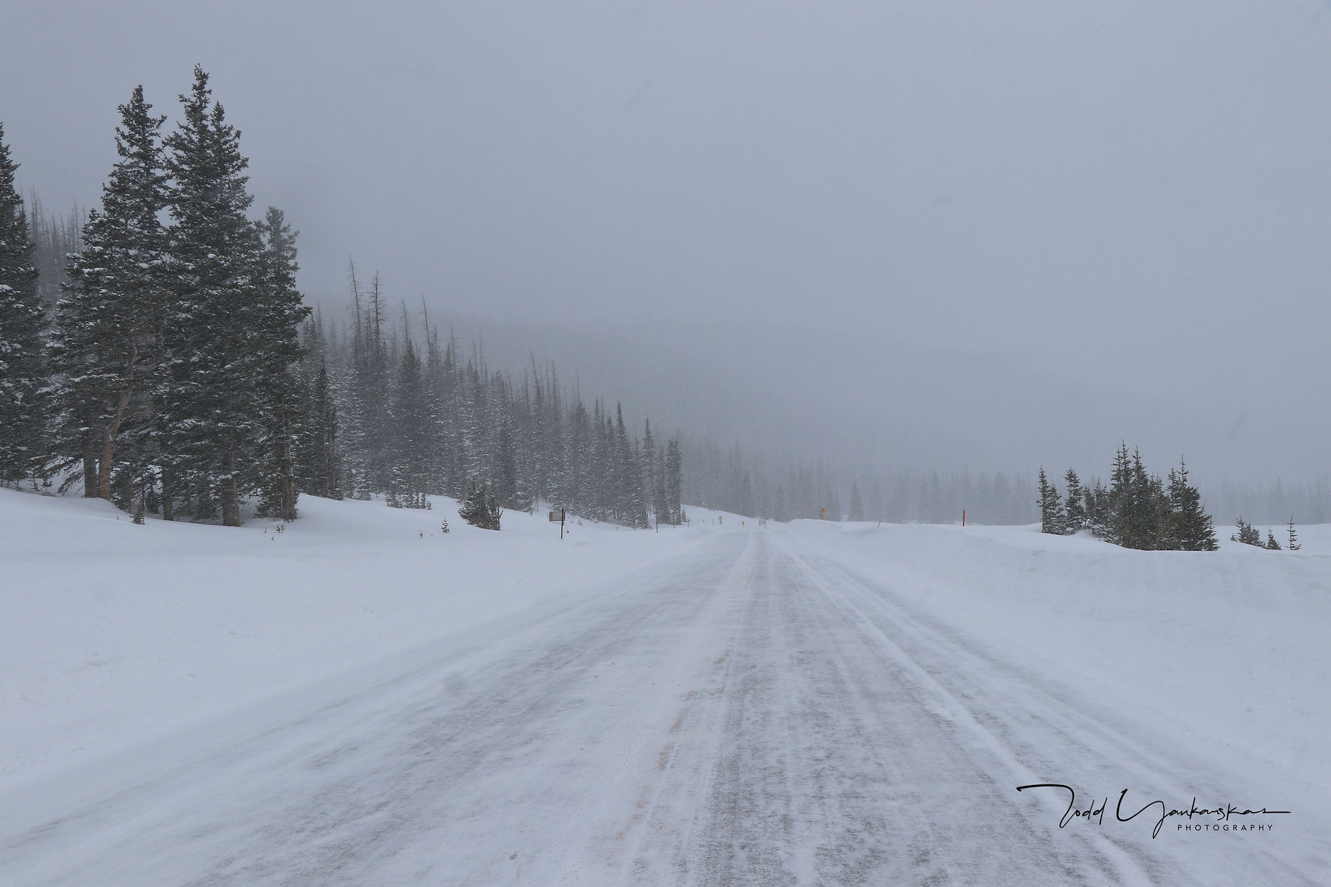 Jack Frost Avenue