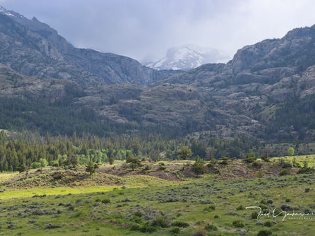 The Greater Yellowstone