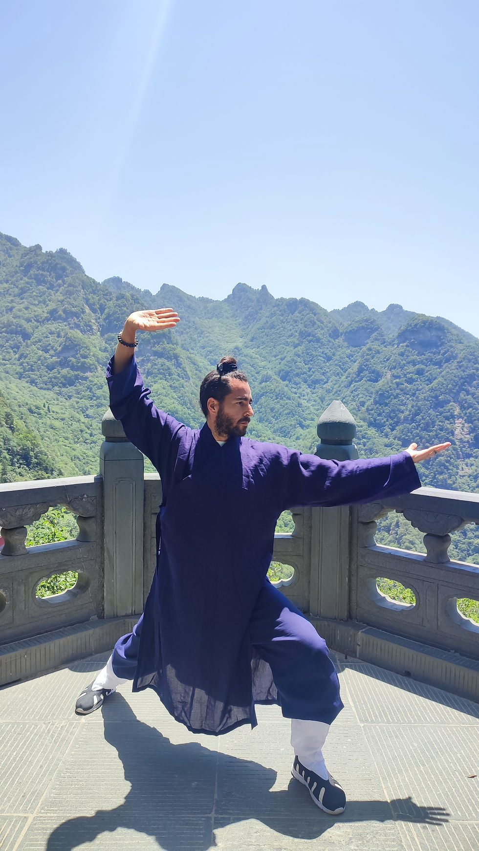 Uniforme largo completo de Taichi/Kung fu de Wudang