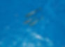 51287983-9D3D-4FFD-AB01-9F3BCBA261D4_1_2