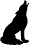 coyote 03b.gif