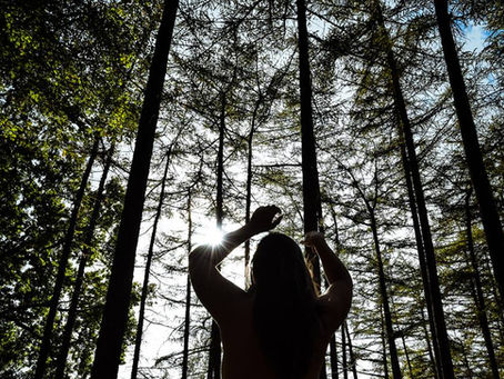 Learning by means of Art