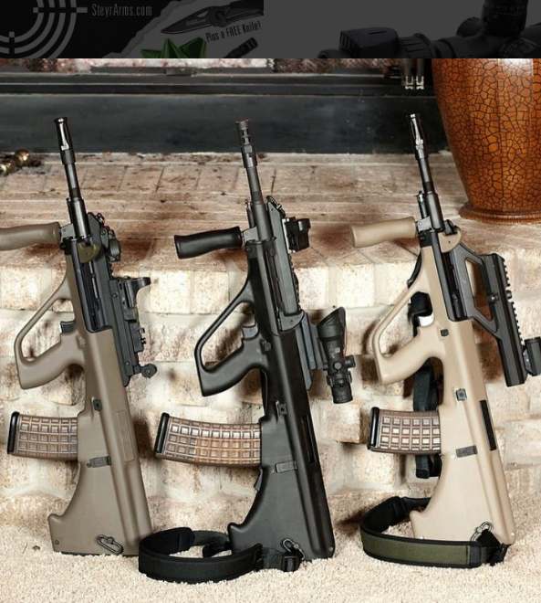 Steyr Arms