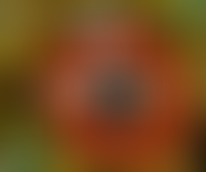 10 BENEFICIOS QUE NO CONOCÍAS DE LA PAPAYA