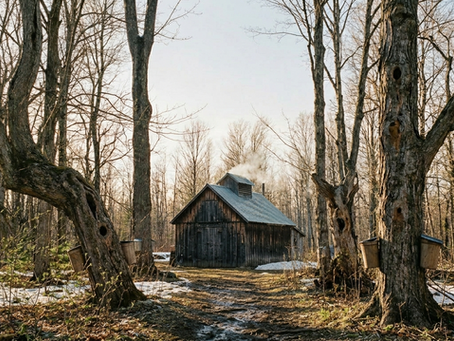 Le masque tombe...grâce aux érables