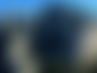 Promenons-nous dans les bois