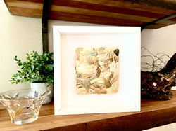 Abstract Seashell Art