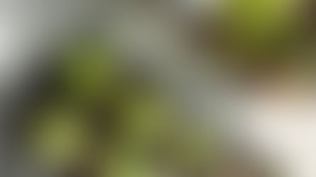 2020 Growing Season - What YOU Need To Know