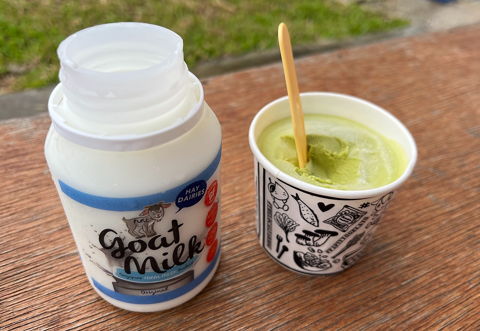 ヤギミルクとジェラート。どちらも牛乳より低脂肪でアッサリした味。