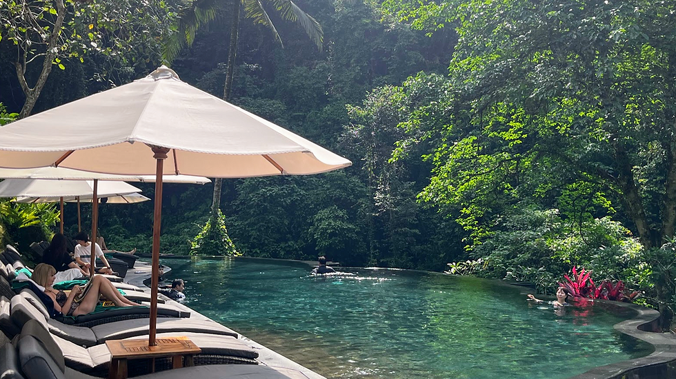 ビーチじゃないバリ旅行。深い緑に癒される森リゾート・子連れウブド旅