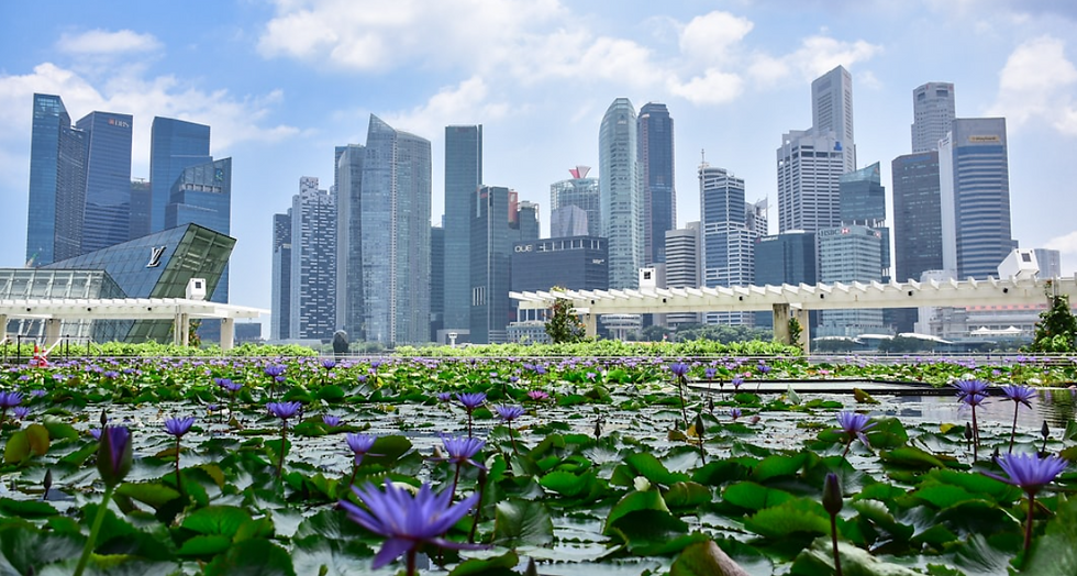 シンガポール帯同中に働きたいと思ったら?【個人事業主・LOC編】基本と押さえておきたいポイント