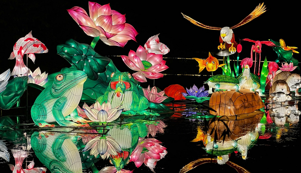 Lights by the Lake @ Jurong Lake Gardens