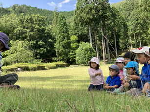 子育てはみんなで!「シンガポール・森のおさんぽ会」を始めるそばちゃんの想い【帯同者インタビュー】