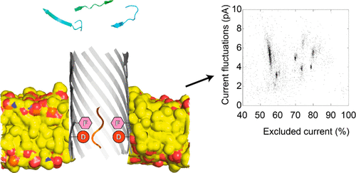 β-Barrel Nanopores with an Acidic-Aromatic Sensing Region Identify Proteinogenic Peptides at Low pH