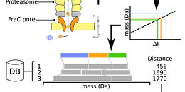 In silico assessment of a novel single-molecule protein fingerprinting method employing fragmentation and nanopore detection