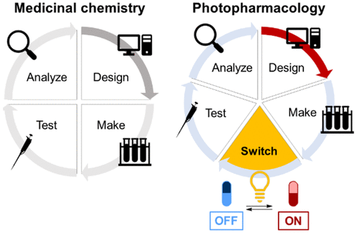 Hypothesis-Driven, Structure-Based Design in Photopharmacology: The Case of eDHFR Inhibitors