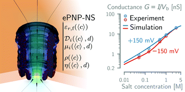 Accurate modeling of a biological nanopore with an extended continuum framework