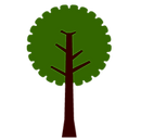Tree 4