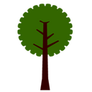 Greening Tjuntjuntjara and Tree Planting Volunteer Program 23rd Sept to 7th October 2021