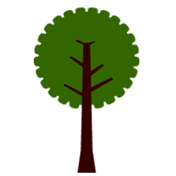 Tree 4