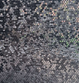 black shimmer wall.jpg