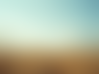 Maximize Organic Visibility with Proven SEO Techniques