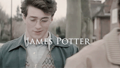 tumblr_nm6h43PEXc1titkhoo7_r2_250 (1).gi