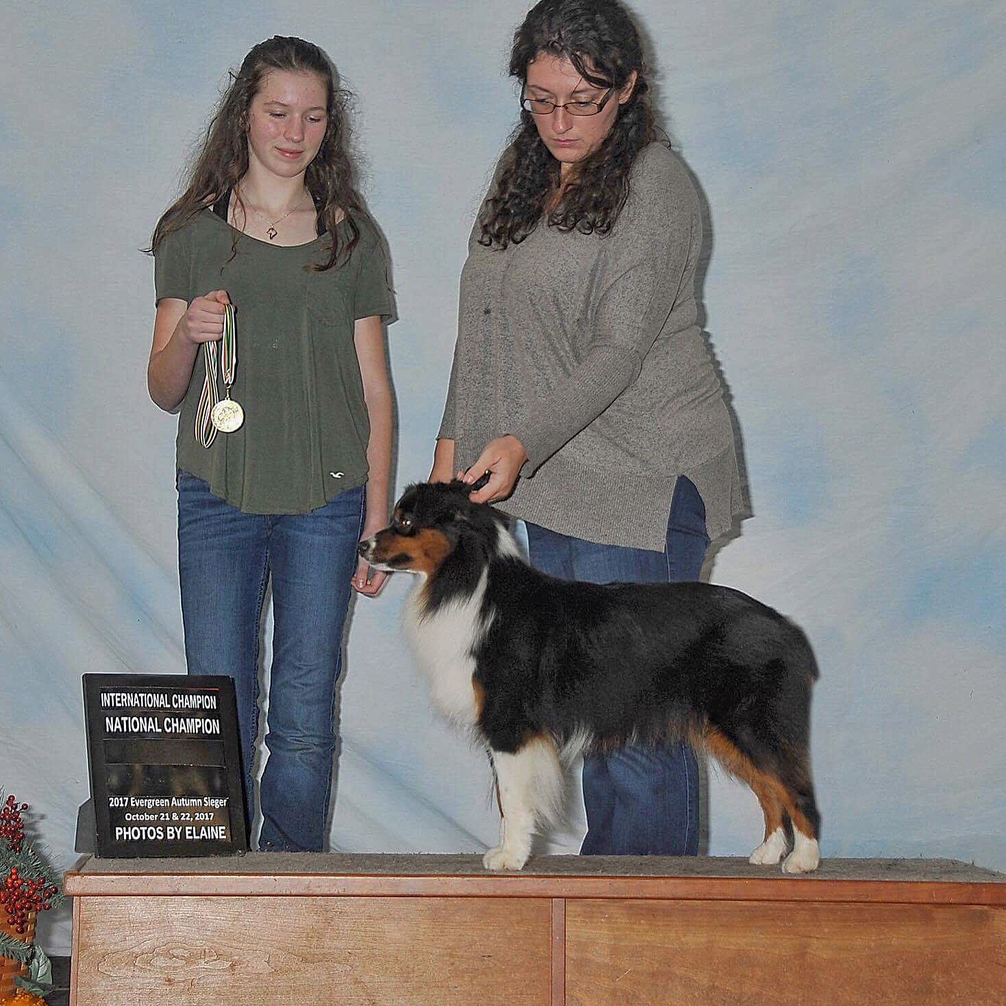 International and National Champion Trails Ends Alta Gracia of Super C black tri female miniature am
