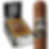 Punch Maduro