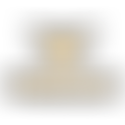 DE nº S174/2025 - Fire Eagle Armory