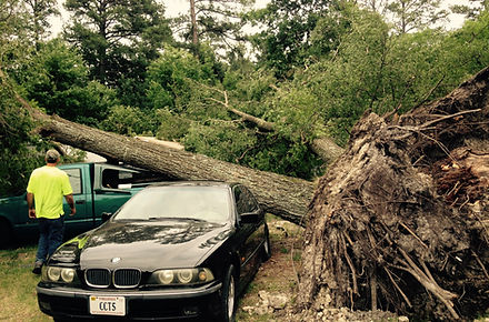 IMG_0022 (2) (1).jpg