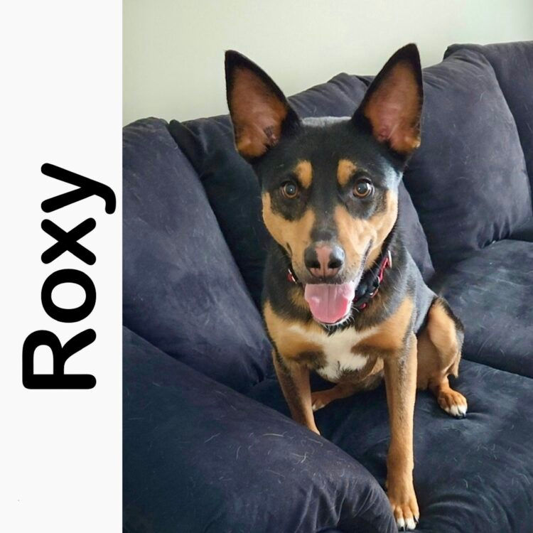 Roxy