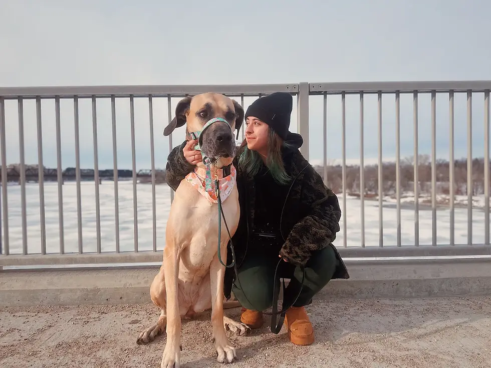 Avîn & Lucille