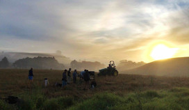 Monitoring in the field