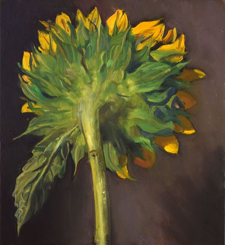 sunflower.jpg