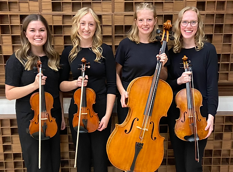 Souvenir Strings Utah string quartet