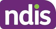 ndis.jpeg
