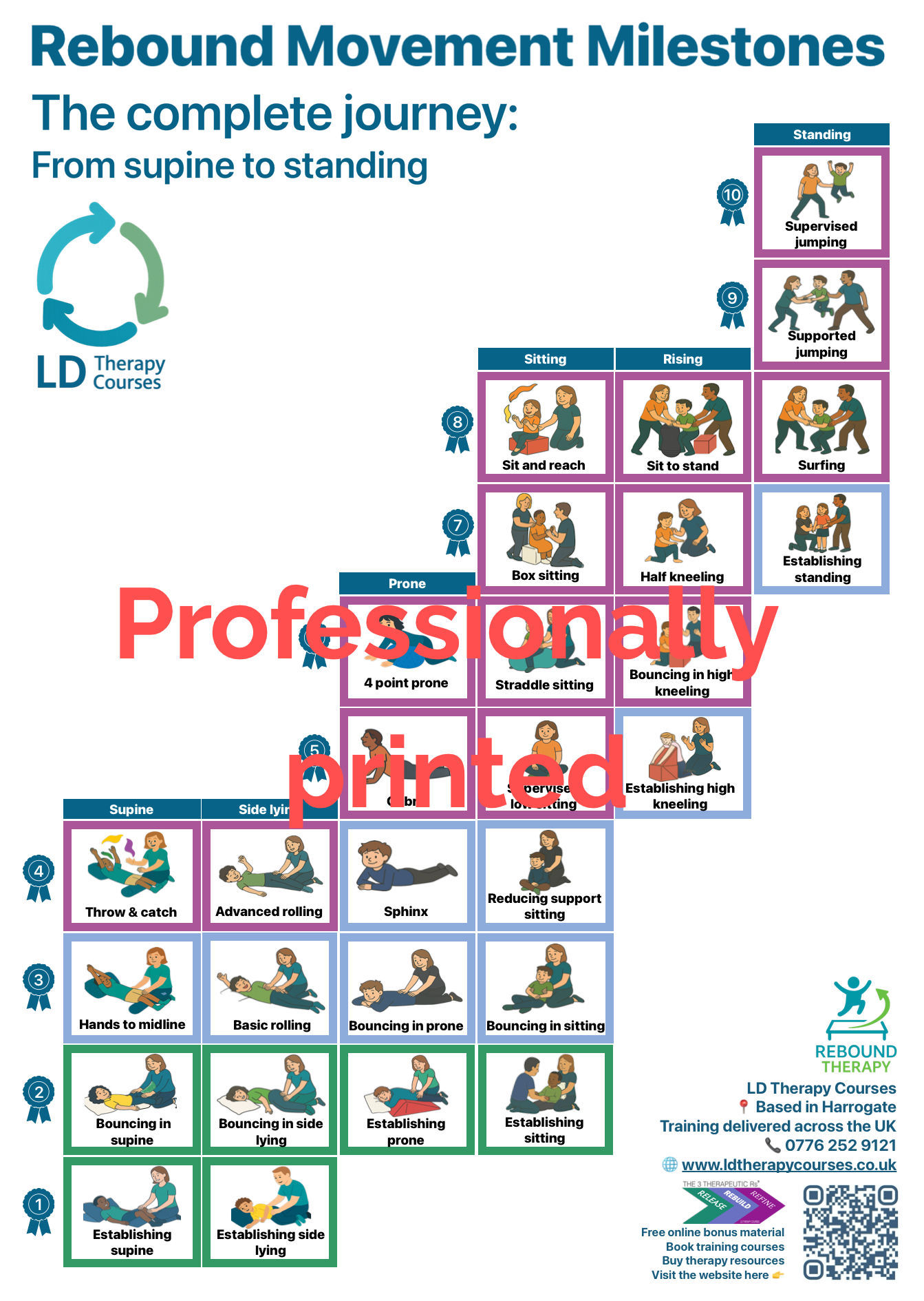 Professionally printed A3 wall chart