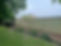 IMG_4175.jpeg