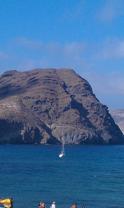 IMAG1538.jpg