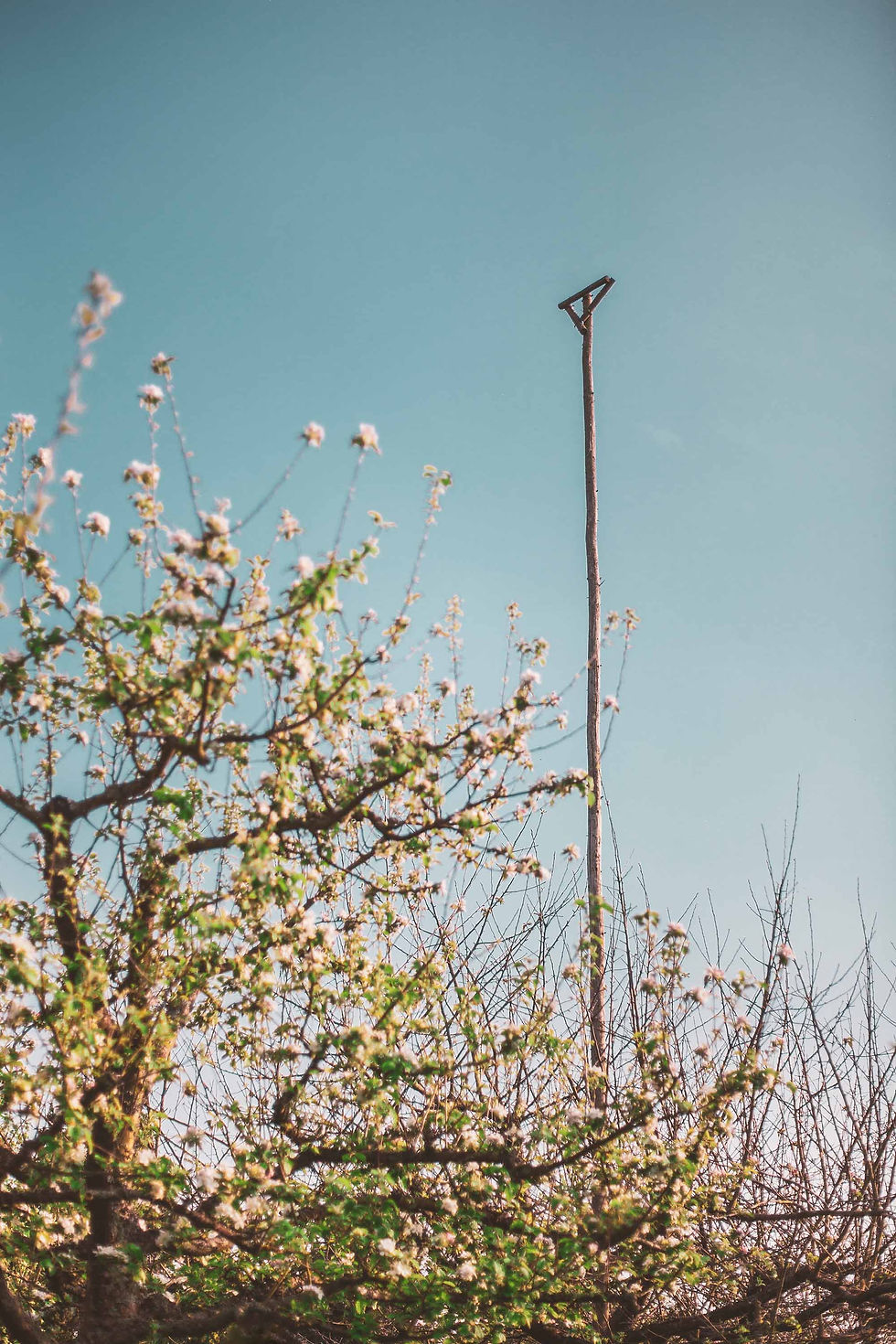 Naturschutz Kelterei Steden Oberursel