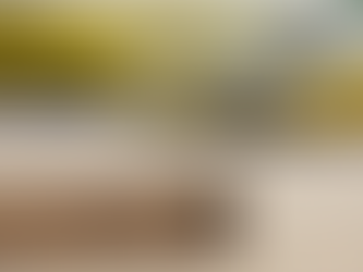 Mercado livre vai as compras e aumenta seu braço logistico! 