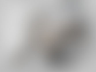 UM POUCO SOBRE A CRISE ECONOMICA MUNDIAL DE 2008