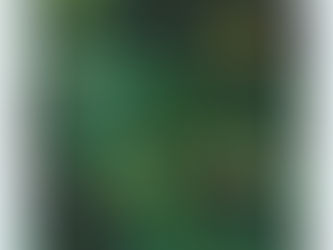 久しぶりの晴れの日に