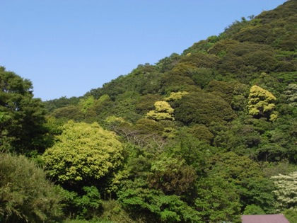 山の端